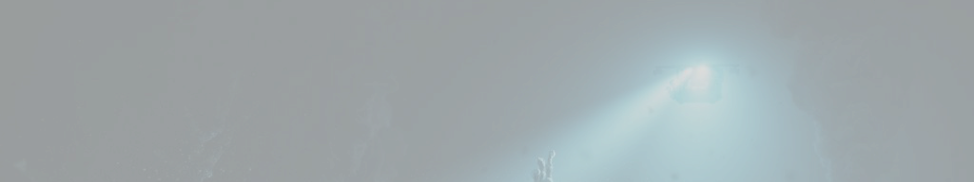 dive-bg